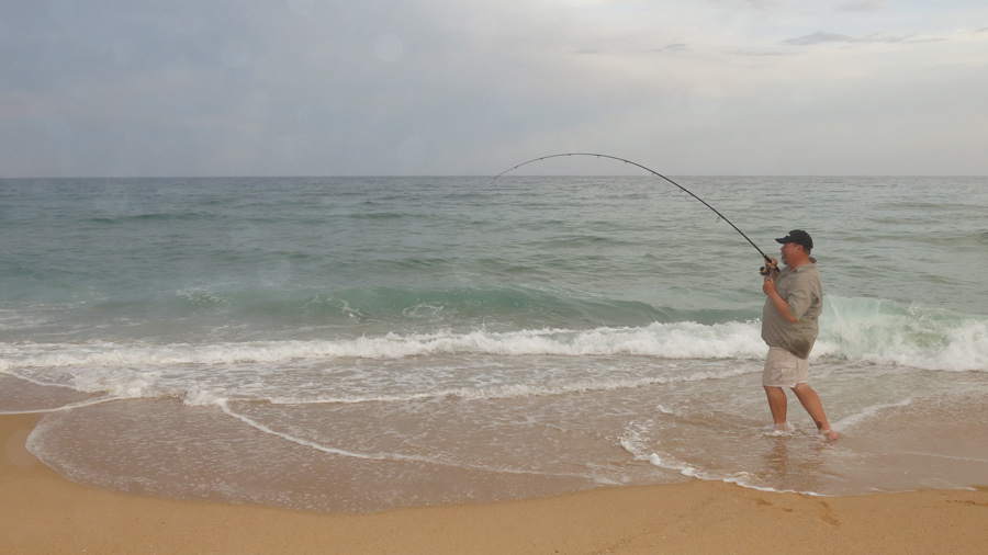 Fishy Politics