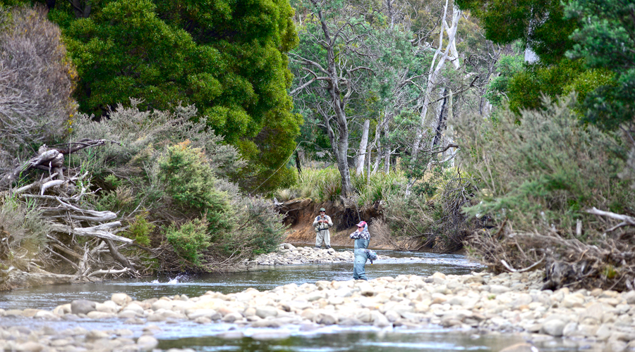 The visual thrill of watching your dry fly as a trout snout breaks the surface to take it is addictive. Getting the timing right on the strike is a rush!