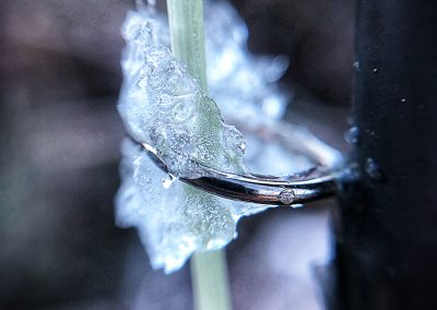 My fly line froze in the guides before I even tried to cast. This is a picture of an iced-up runner on my fly rod.