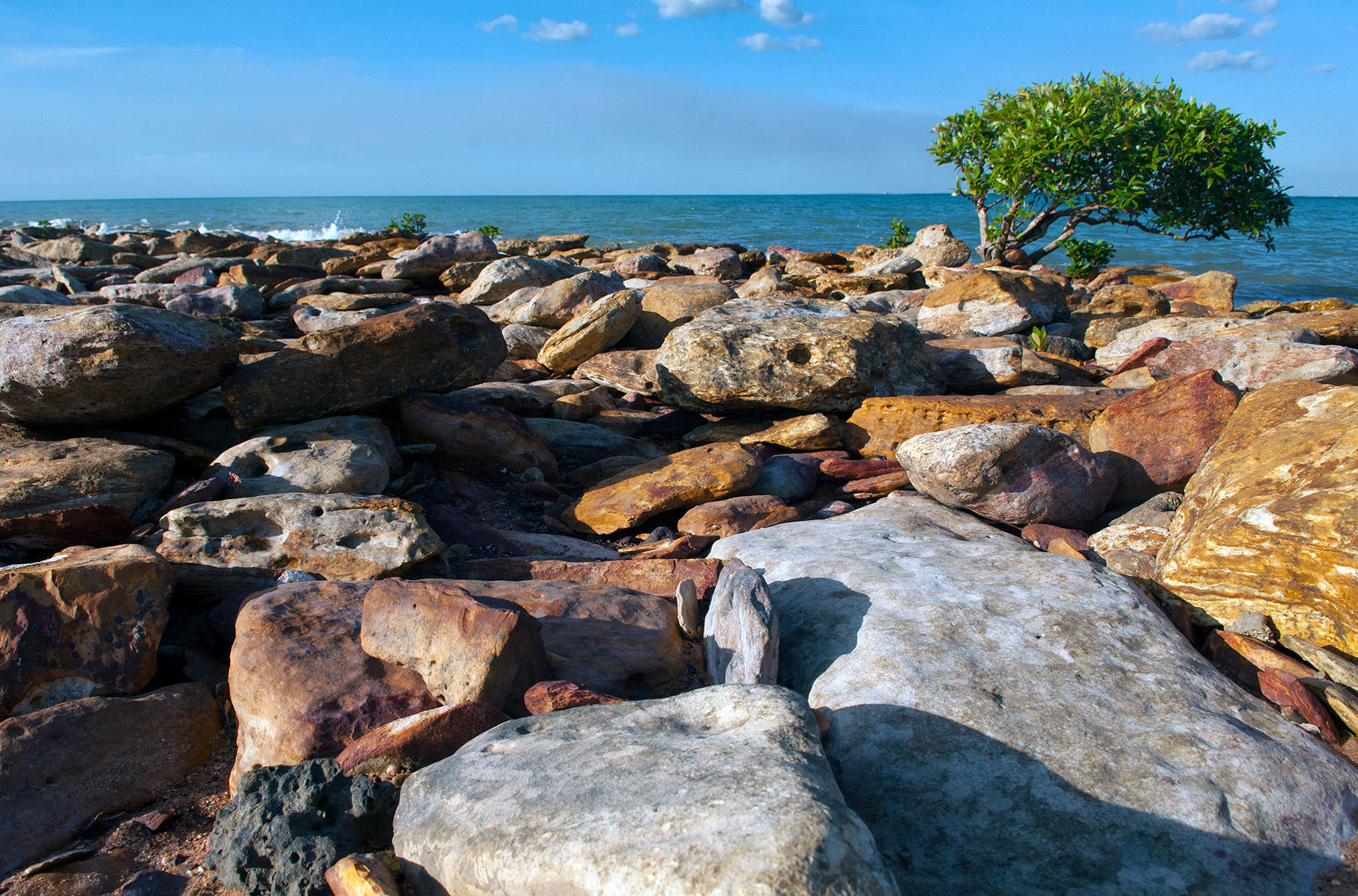 The inter-tidal rocks around Darwin don't support as much growth or invertebrate life as those down south because of the huge tidal range. However, they can be very slippery when damp! Take care.