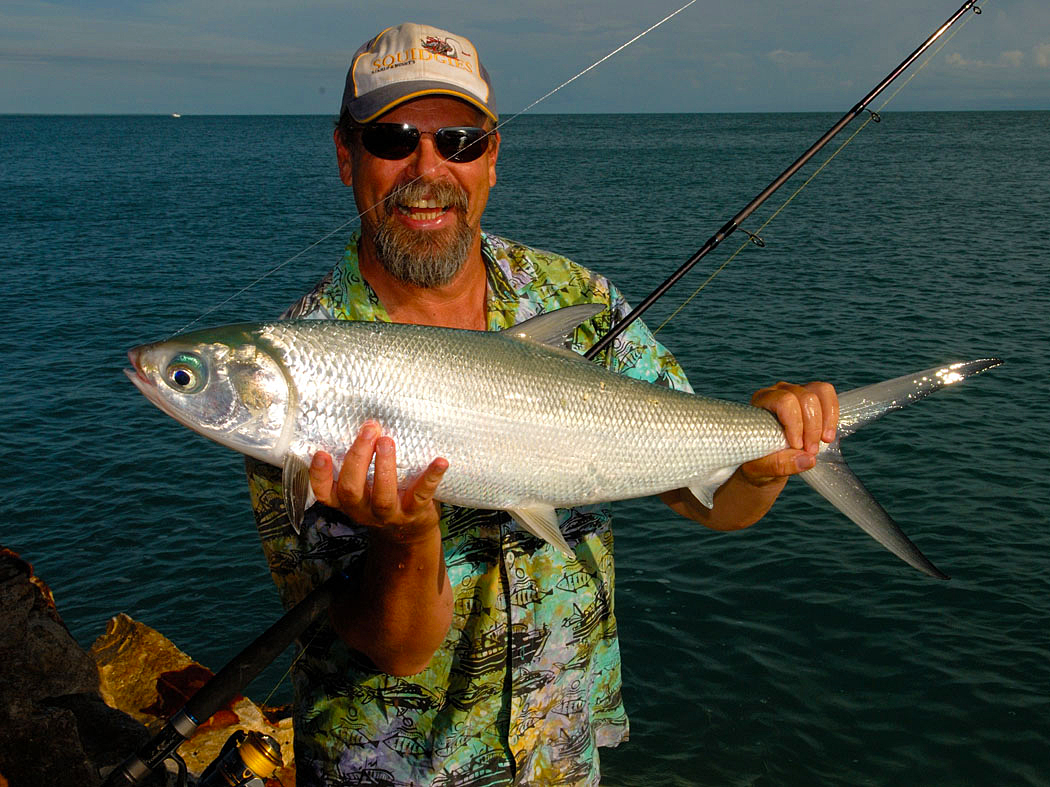 The esteemed milkfish is a keenly sought-after prize among Top End land-based fishers. Starlo scored this one on a bread paint from the rocks at East Point.