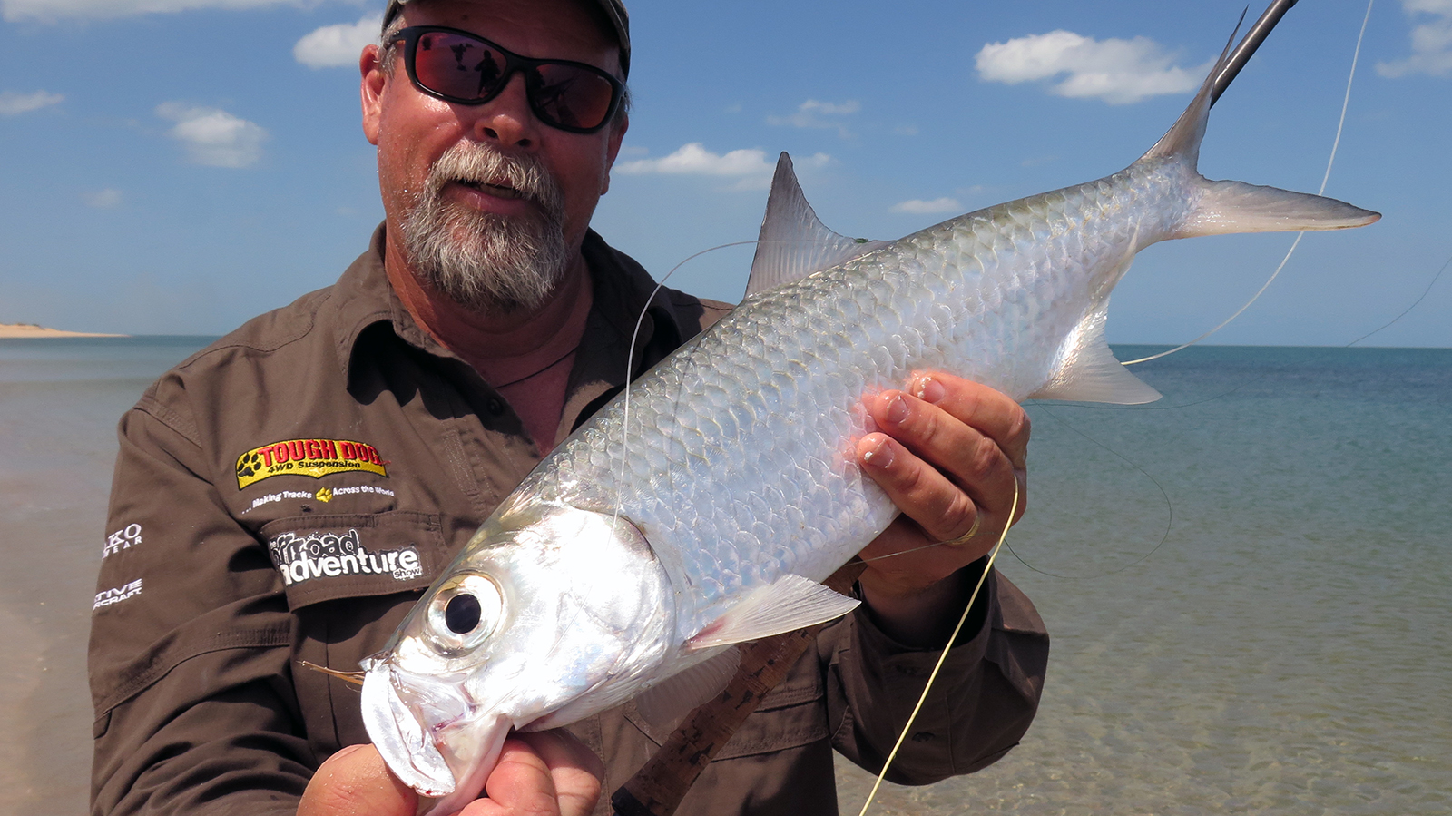 Tarpon or ox-eye herring are a blast to catch, especially on fly!