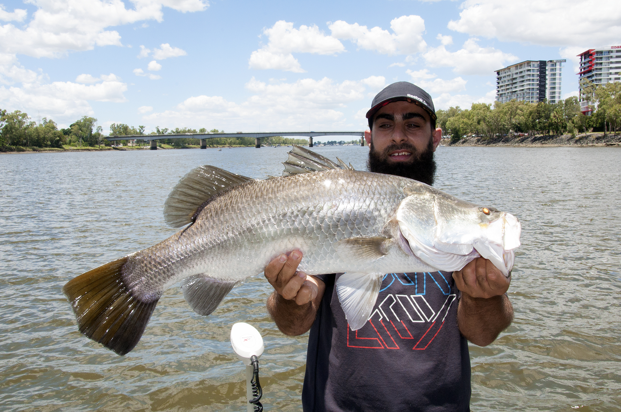 Some of the best barra fishing takes place literally in the middle of downtown Rockhampton!
