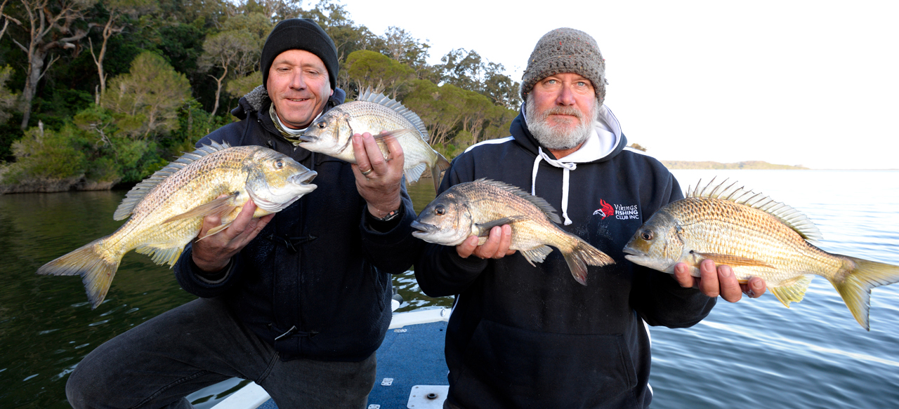 The sort of mixed bag of yellowfin and black bream that lures so many keen anglers to Mallacoota each year.