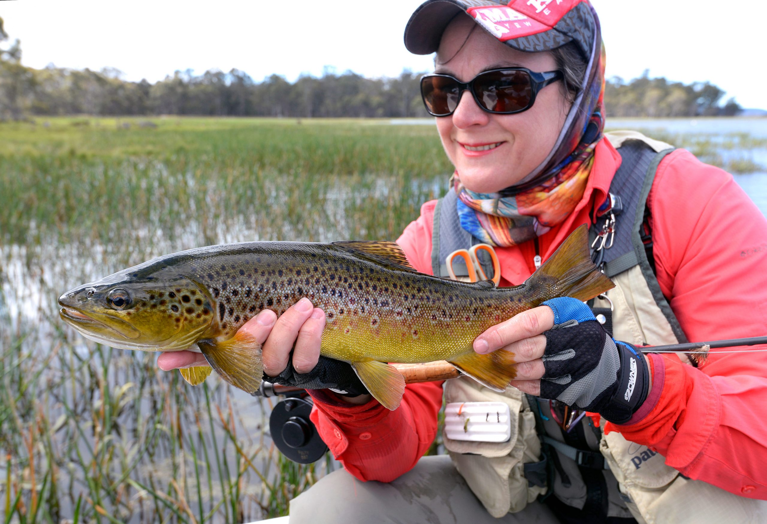 Jo with a lovely Penstock brownie taken in the margins on a single dry fly presented on a long, fine tippet.