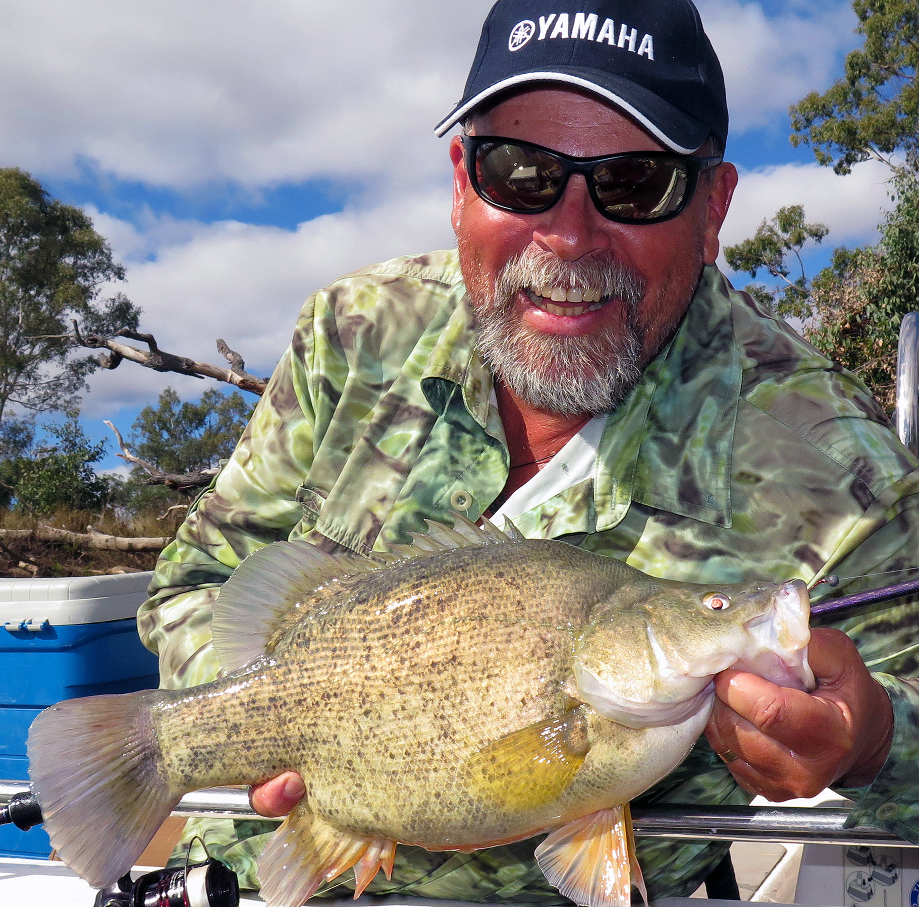 There are plenty of golden perch or yellowbelly in Cania, too.