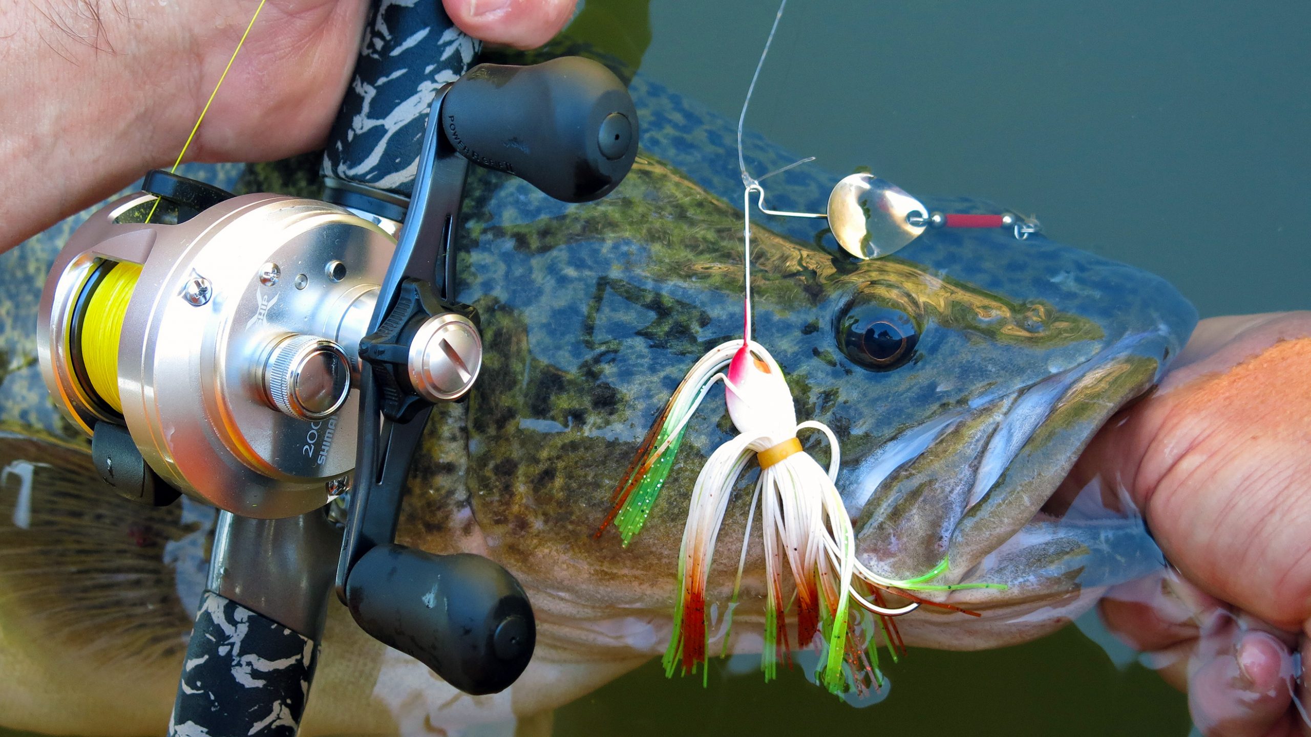 Baitcaster gear is great for throwing heavier lures in search of cod, but spin gear is also fine for the task.