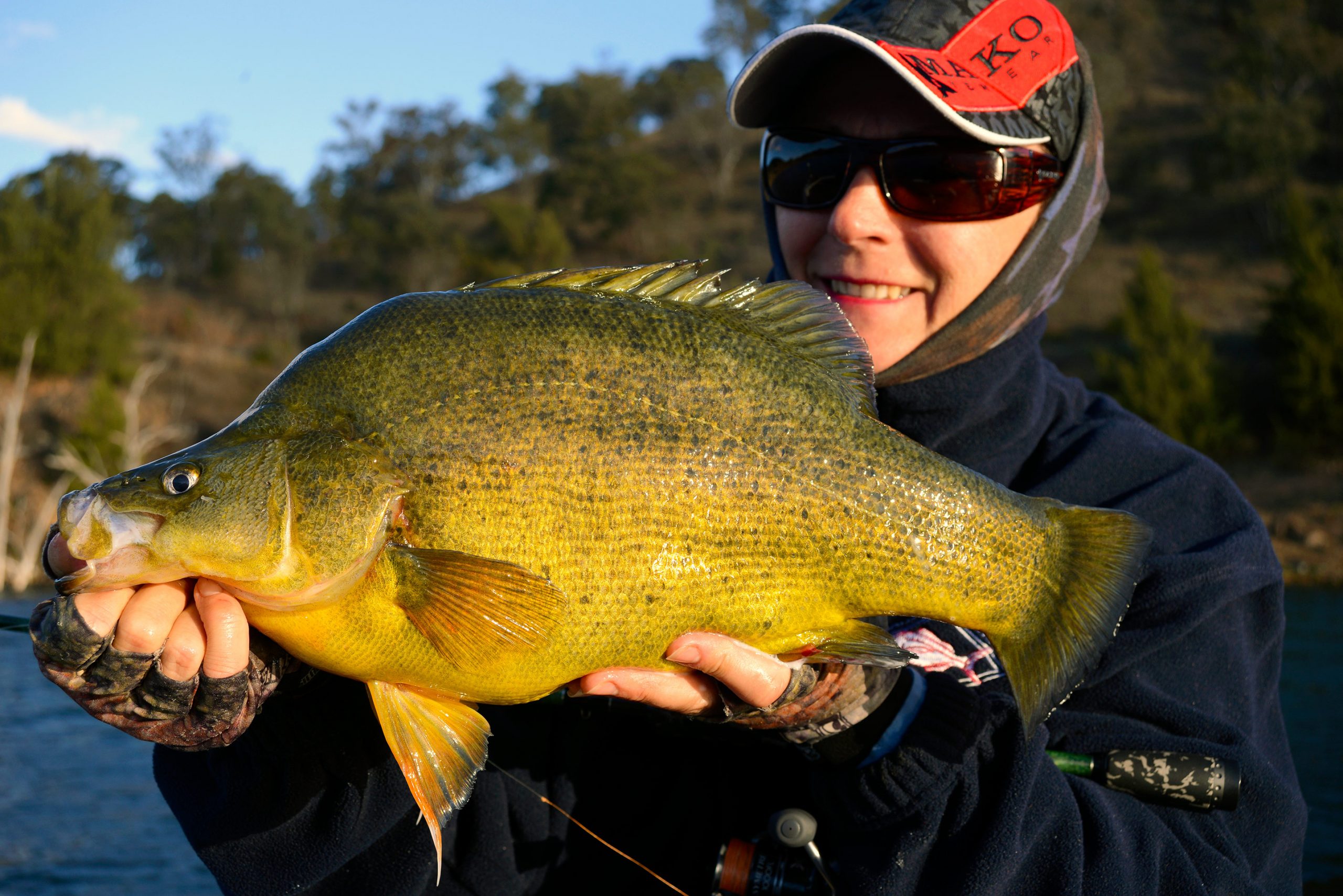 Jo Starling with a lovely golden perch from Burrinjuck Dam, NSW.