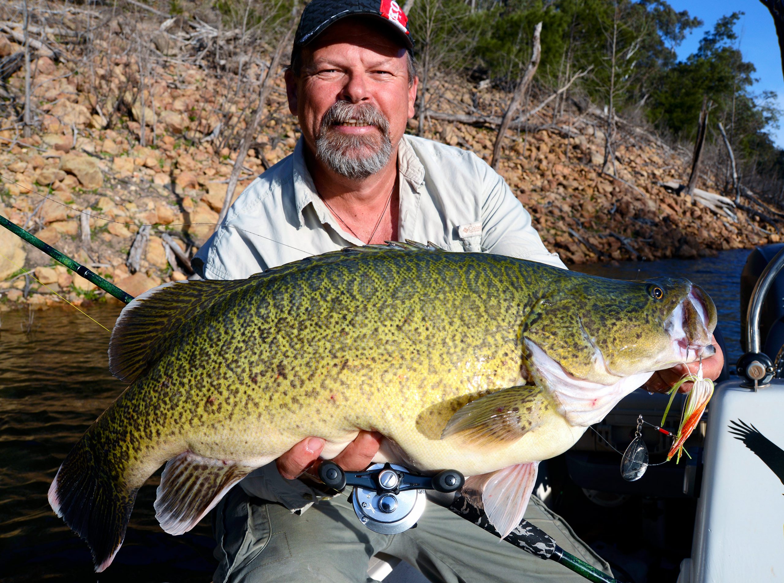 Starlo with a solid little Murray cod from Burrinjuck Dam... they grow a LOT bigger than this!