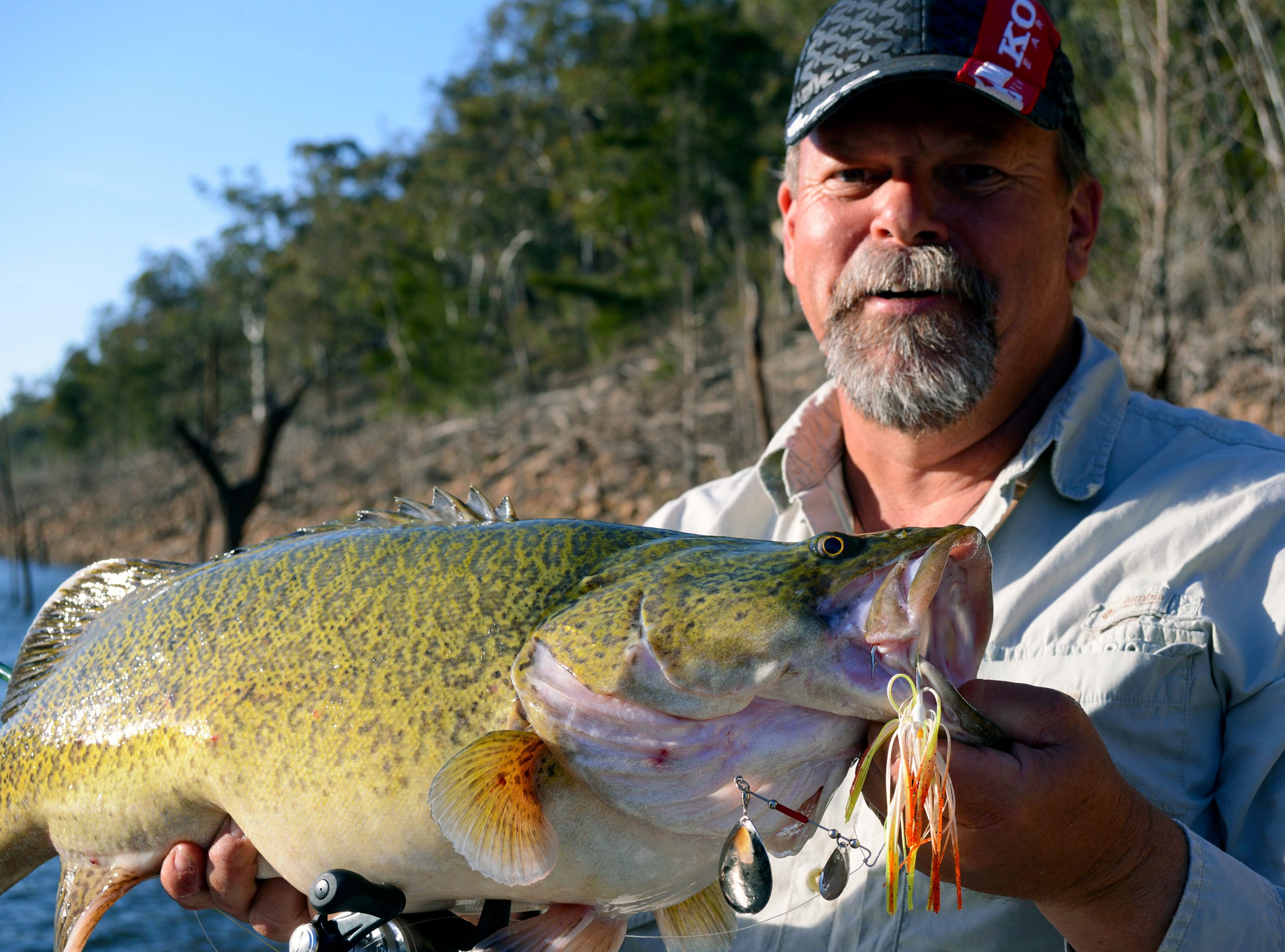 Spinnerbaits are great tools for targeting Burrinjuck cod. They'll catch yellowbelly as well.